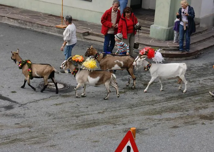 公寓 Schwaighofer Kössen